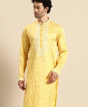 Embroidered Mandarin Collar Straight Kurta