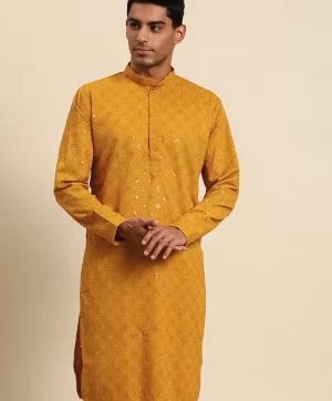 Geometric Embroidered Mandarin Collar Sequin Straight Kurta