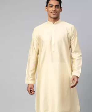 Embroidered Mandarin Collar Straight Kurta